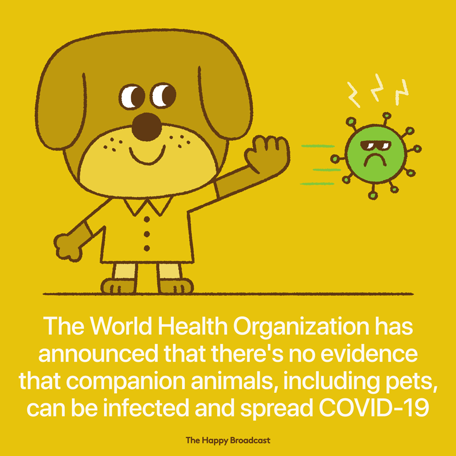 According to the world health organization the