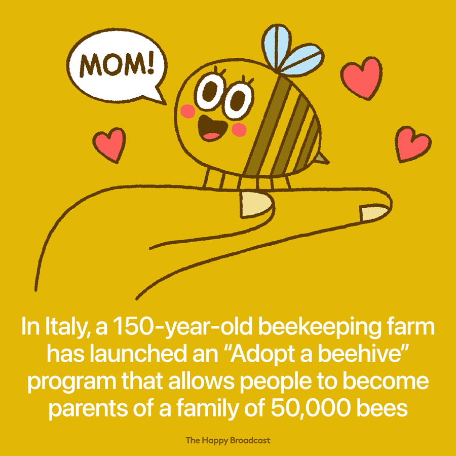 Adopt a beehive programs around the world allows