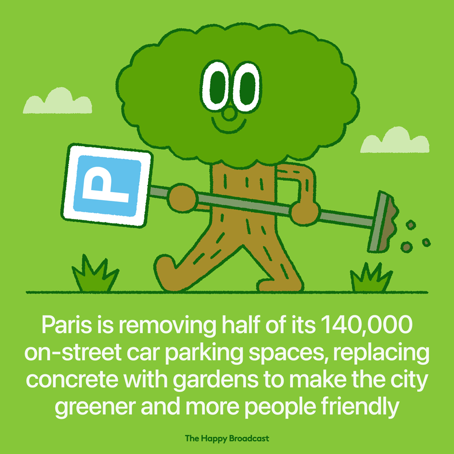 Authorities in the french capital want to remove