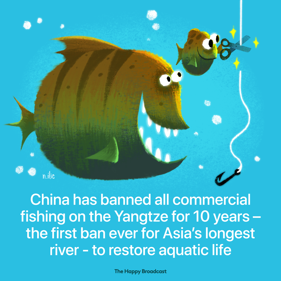 Because of all the negativity surrounding china