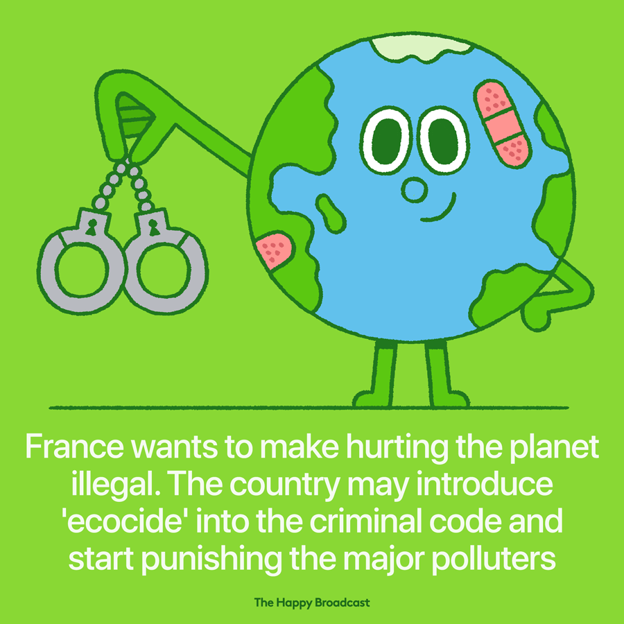 Damaging the environment could become a crime in