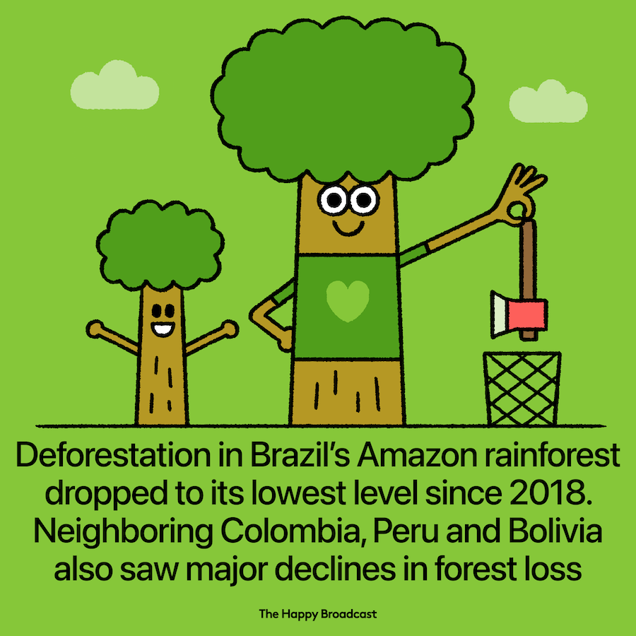 Deforestation in Brazil dropped to its lowest level since 2018