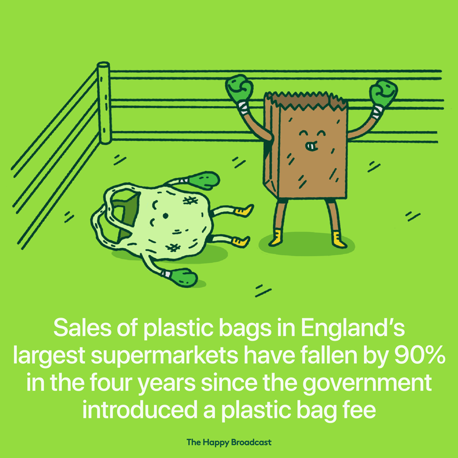 Englands largest retailers are now selling 90