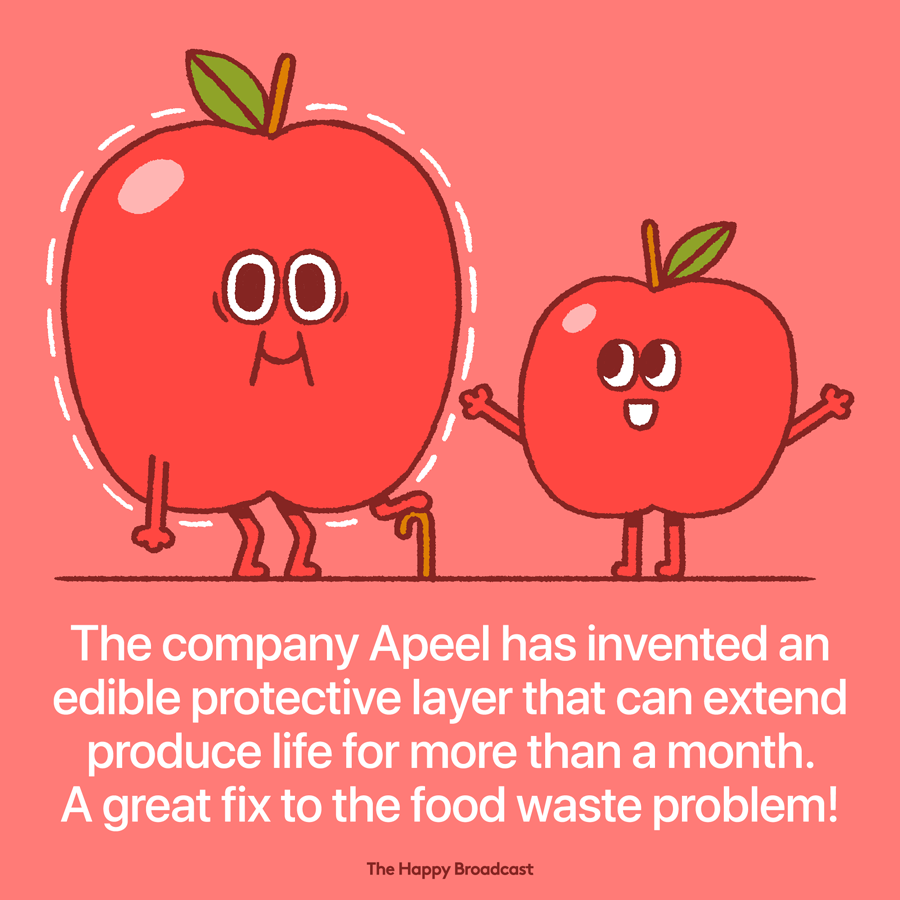 Food waste is a primary concern nowadays the