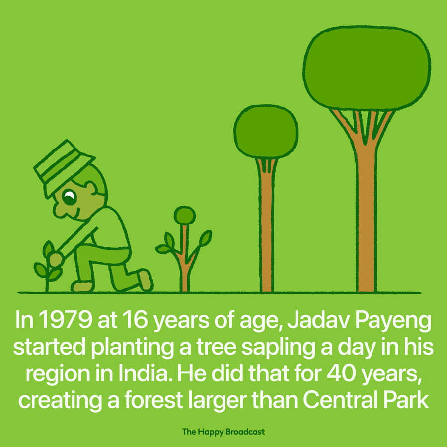Forest Man of India Planted a Forest Bigger Than Central Park