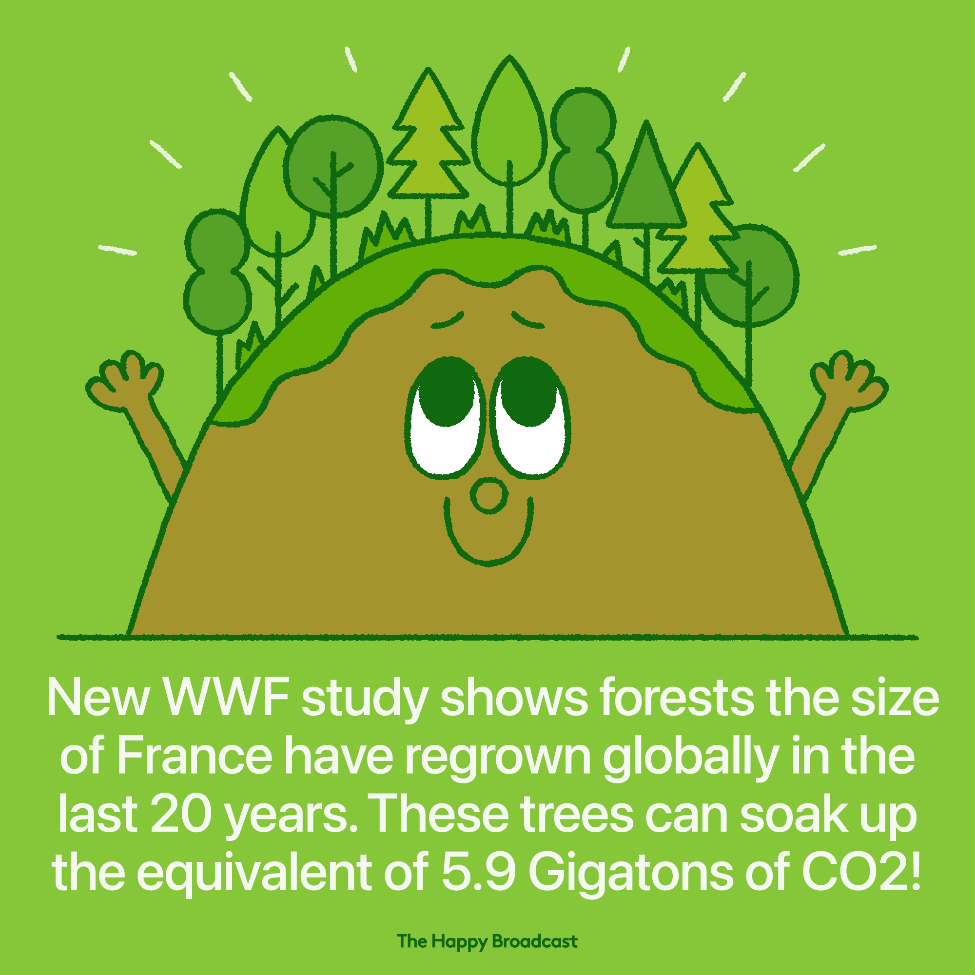 Forests the size of France regrown since 2000