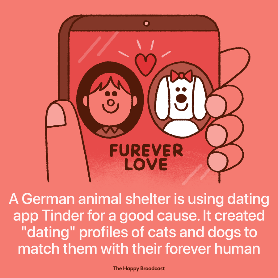 German animal shelter adds pets on Tinder to increase adoptions