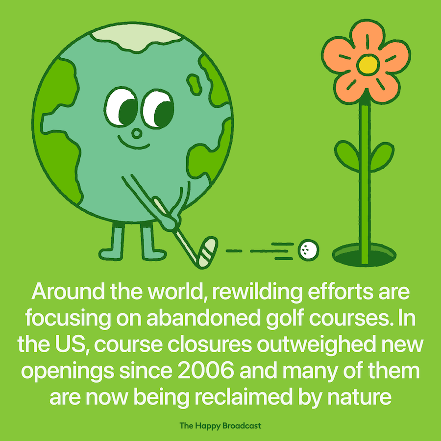 Golf courses are being reclaimed by nature