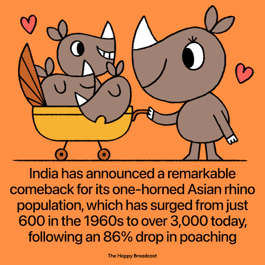Great news for the Assam rhino population