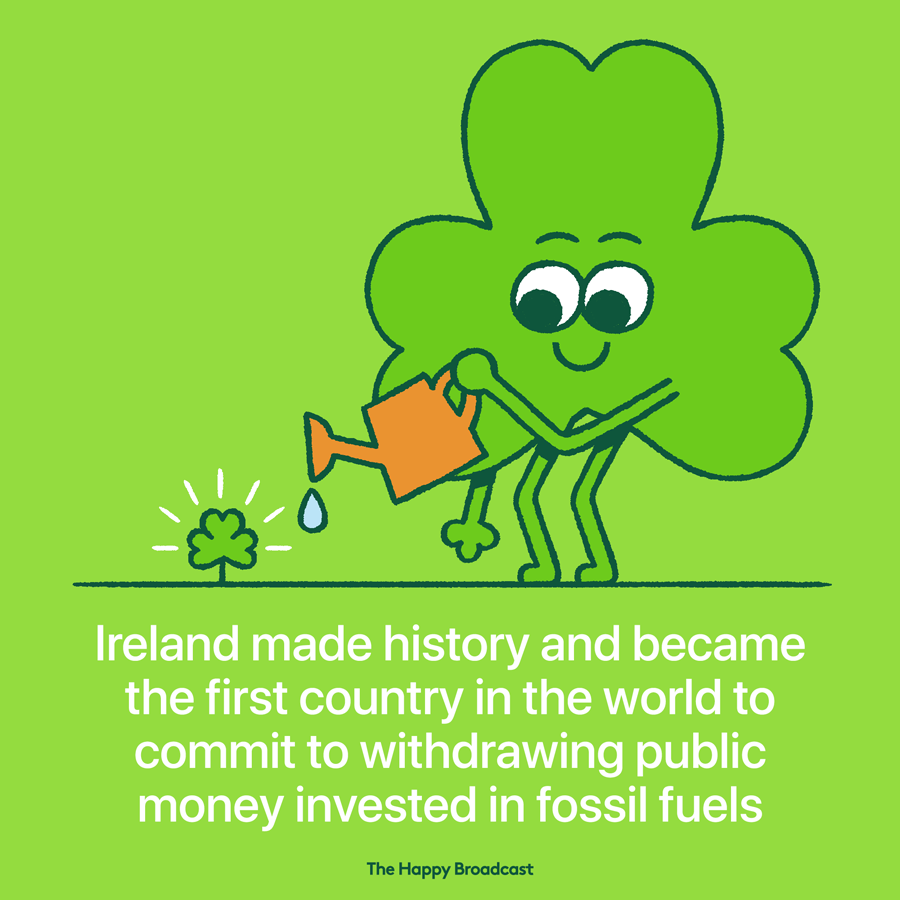 Its amazing to end the year on a very positive