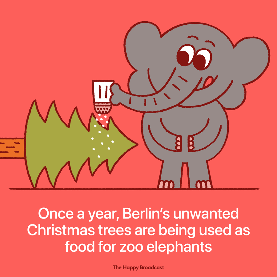 Its christmas time and heres a lovely story for