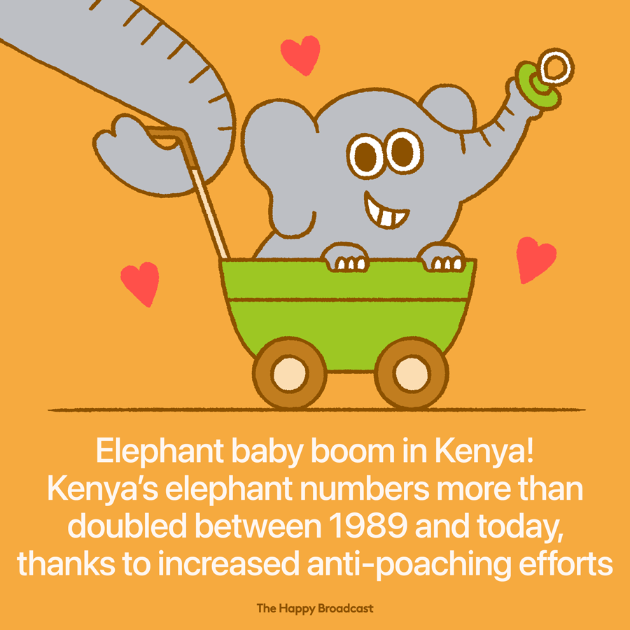 Kenya had just 16000 elephants in 1989 and this