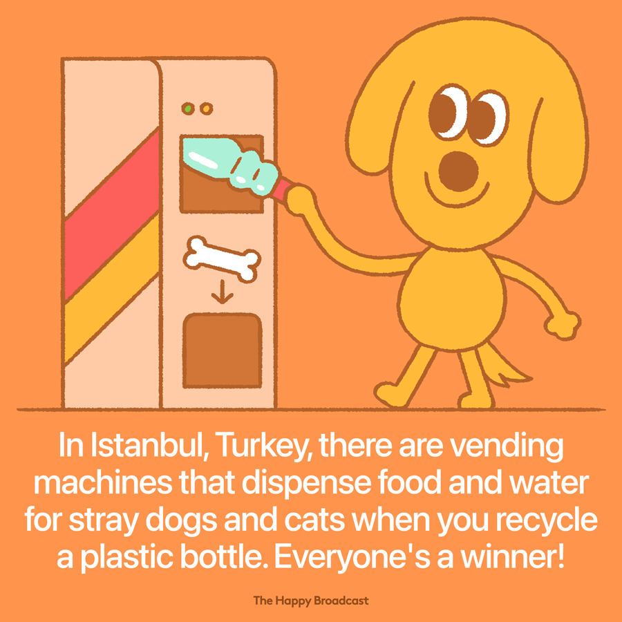 Mehmet akay the chairman of pugedon said the