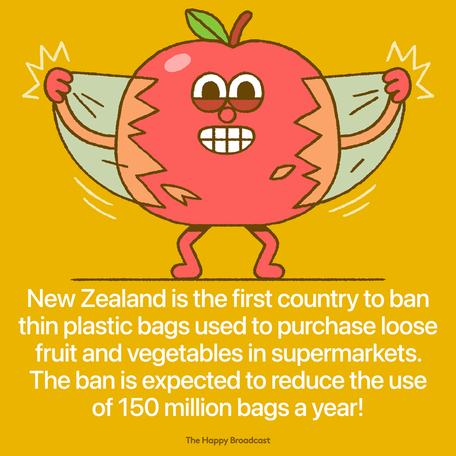 New Zealand bans thin plastic fruit and vegetable bags
