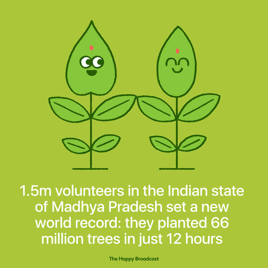 One and a half million volunteers planted a