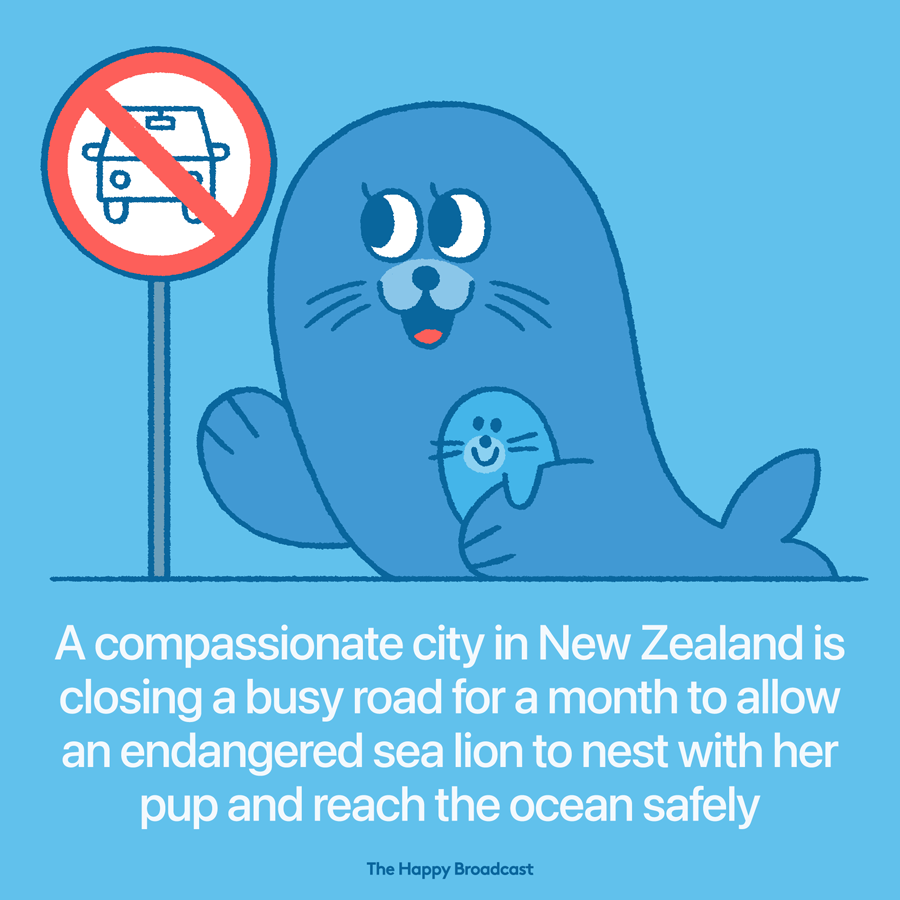 One city in new zealand knows what its priorities
