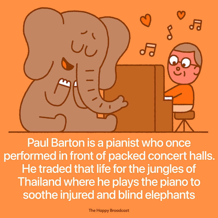 Paul Barton Plays Classical Piano To Elephants