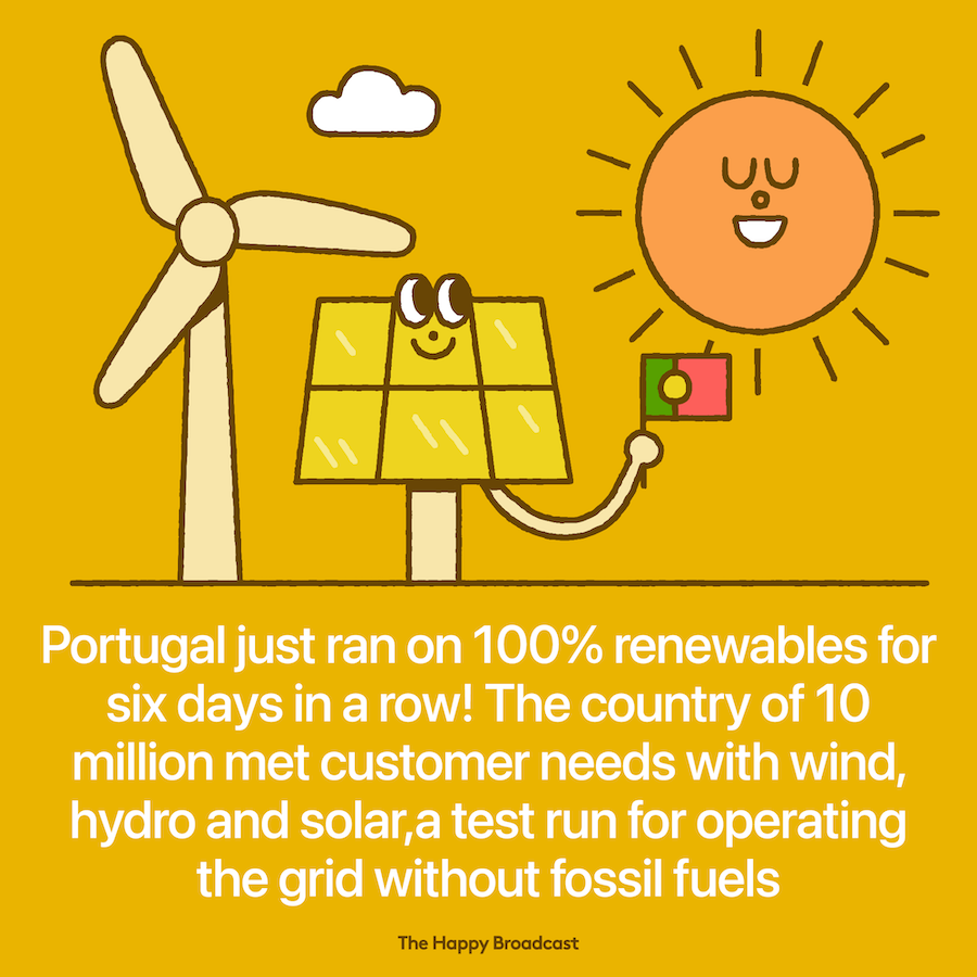 Portugal ran on renewables for 6 days