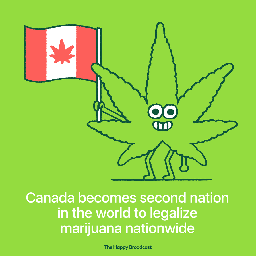 Recreational marijuana use in canada will be legal
