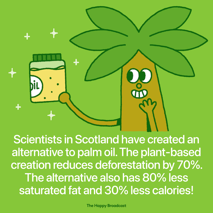 Researchers Develop a Sustainable Alternative to Palm Oil