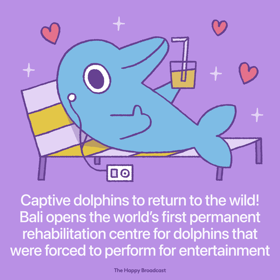 Run by us based non profit organization dolphin