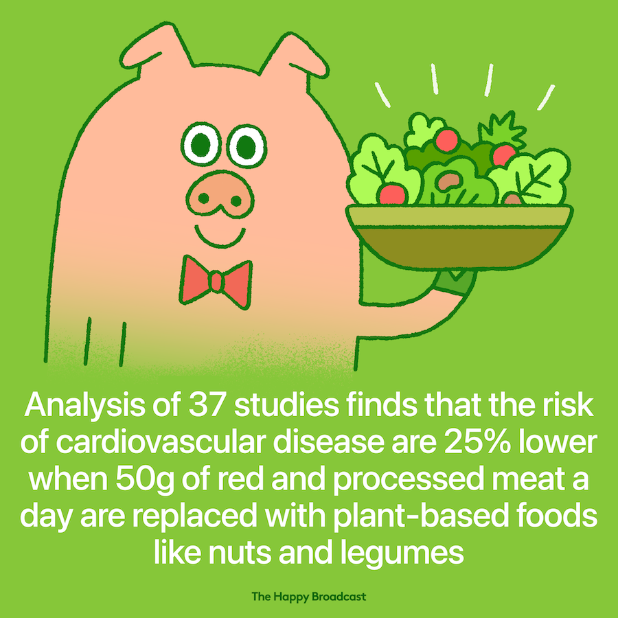 Scientific benefits of adding more plant based food to our diet
