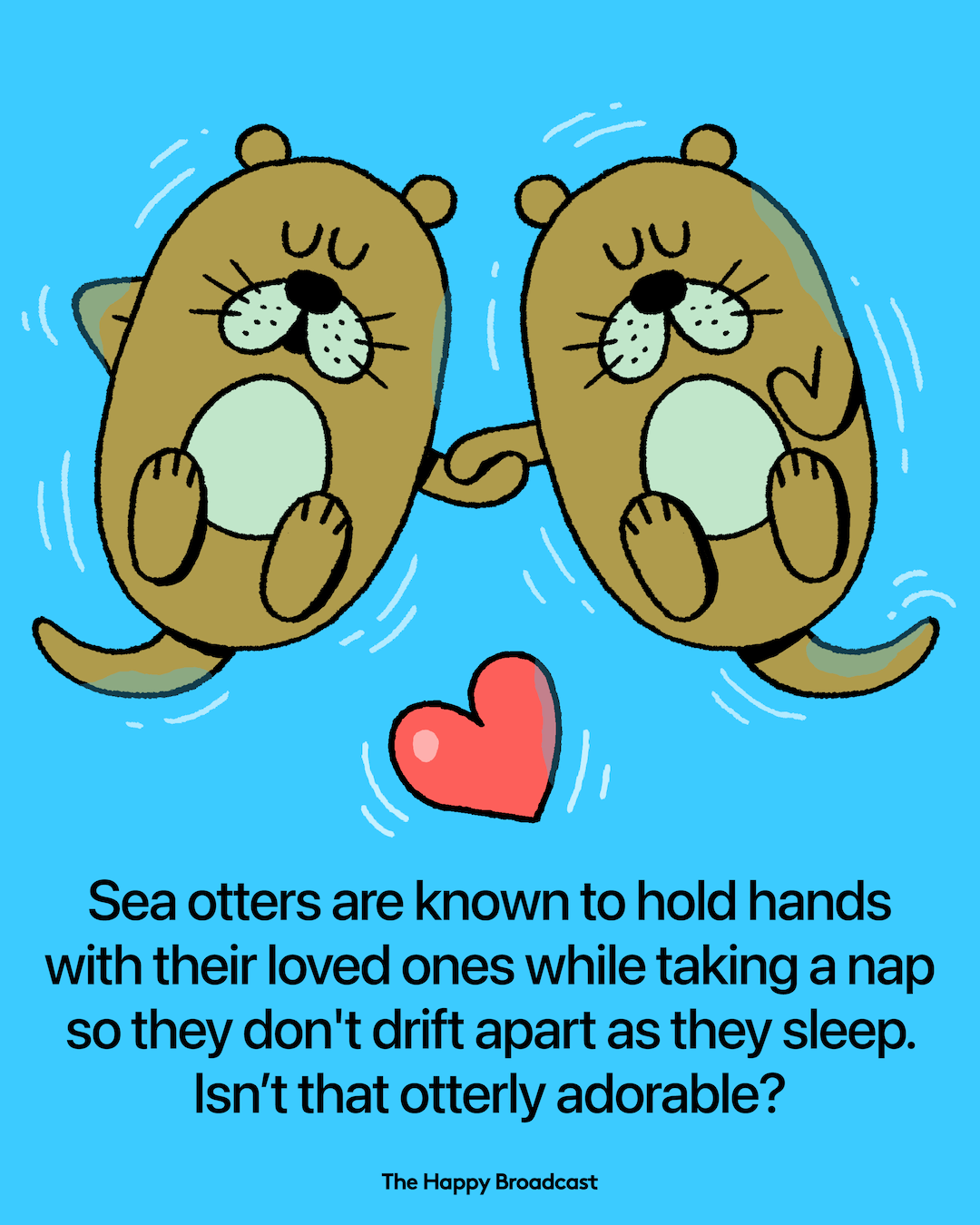 Sea Otters Hold Hands While They Sleep To Stay Together