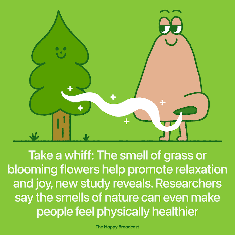 Smell of nature promotes wellbeing
