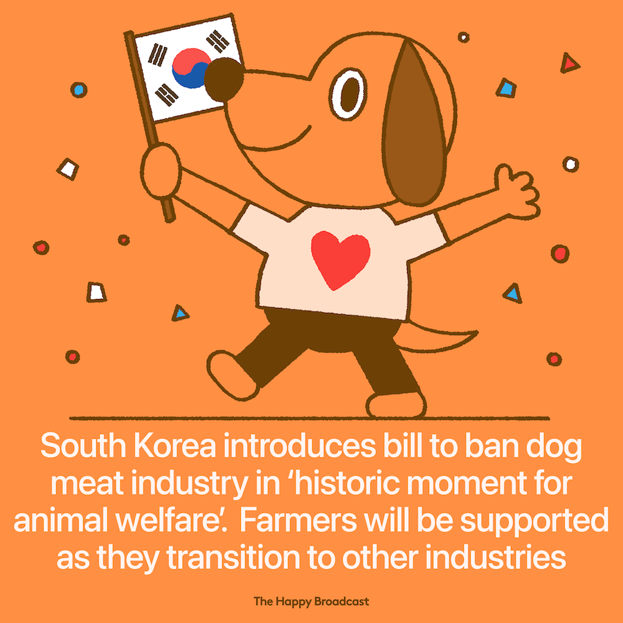 South Korea Introduces Bill to Ban Dog Meat Industry