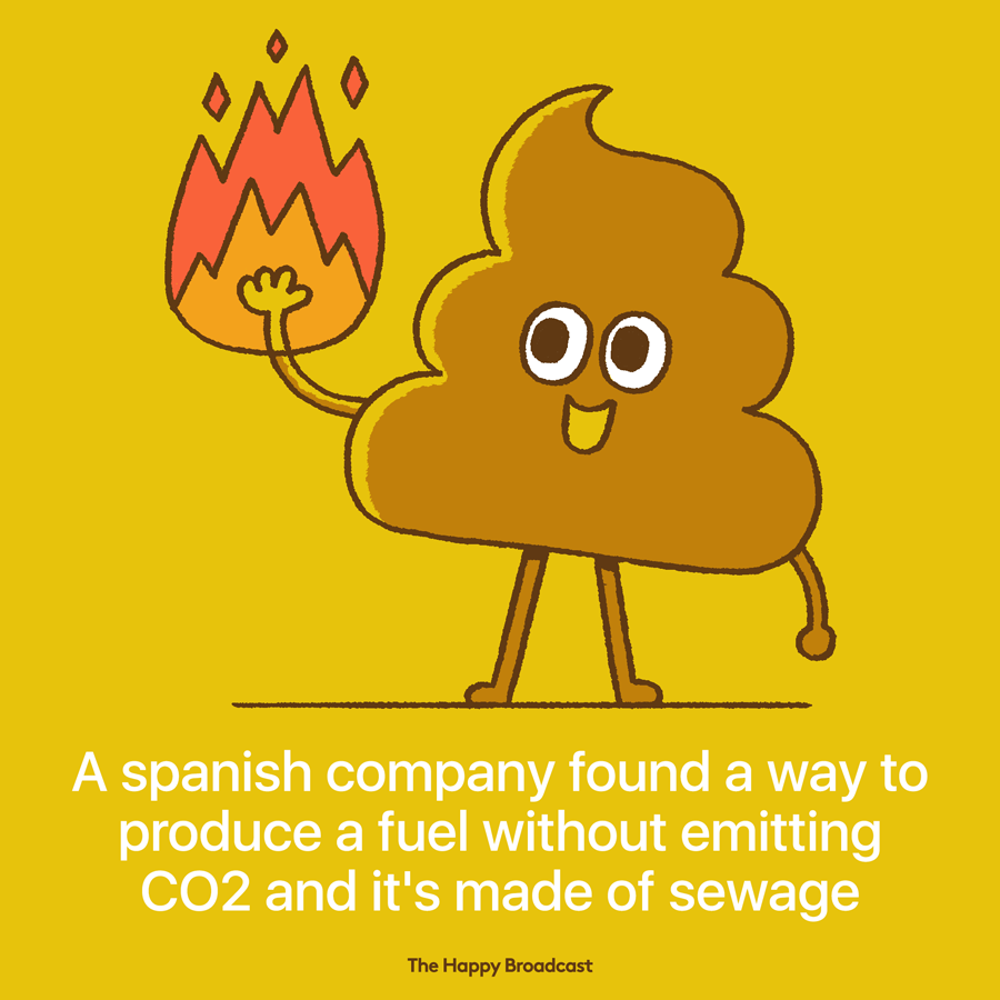 Spanish company ingelia has developed an