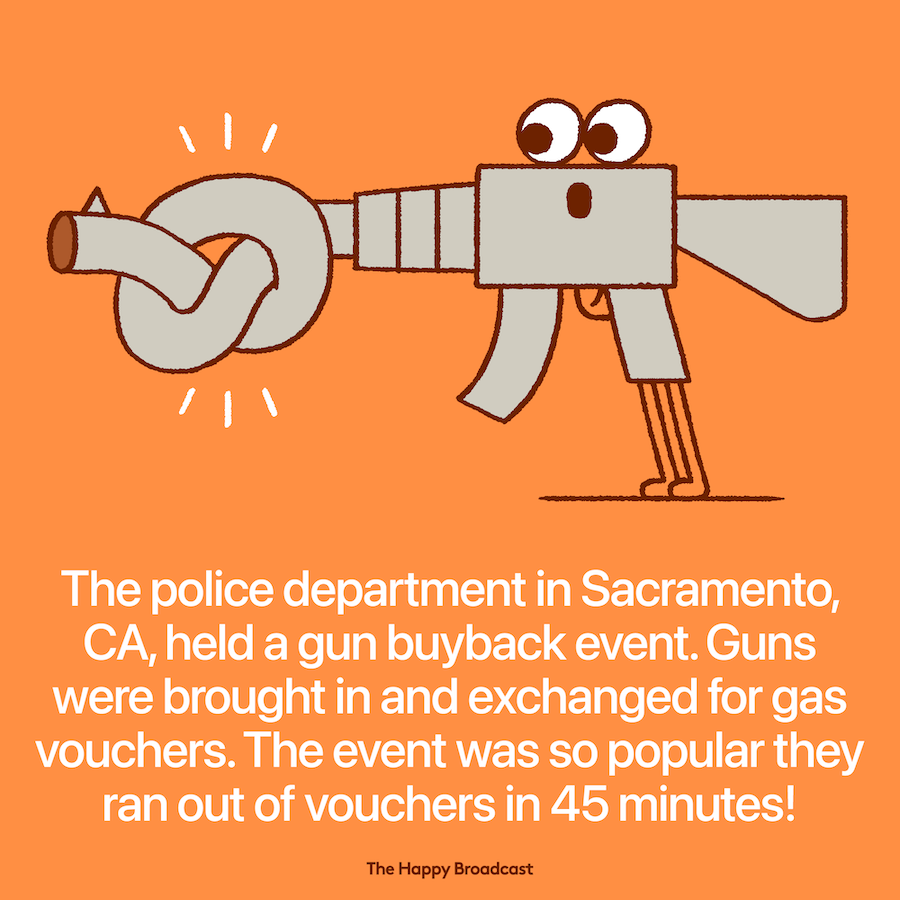 Successful gun buyback event in California