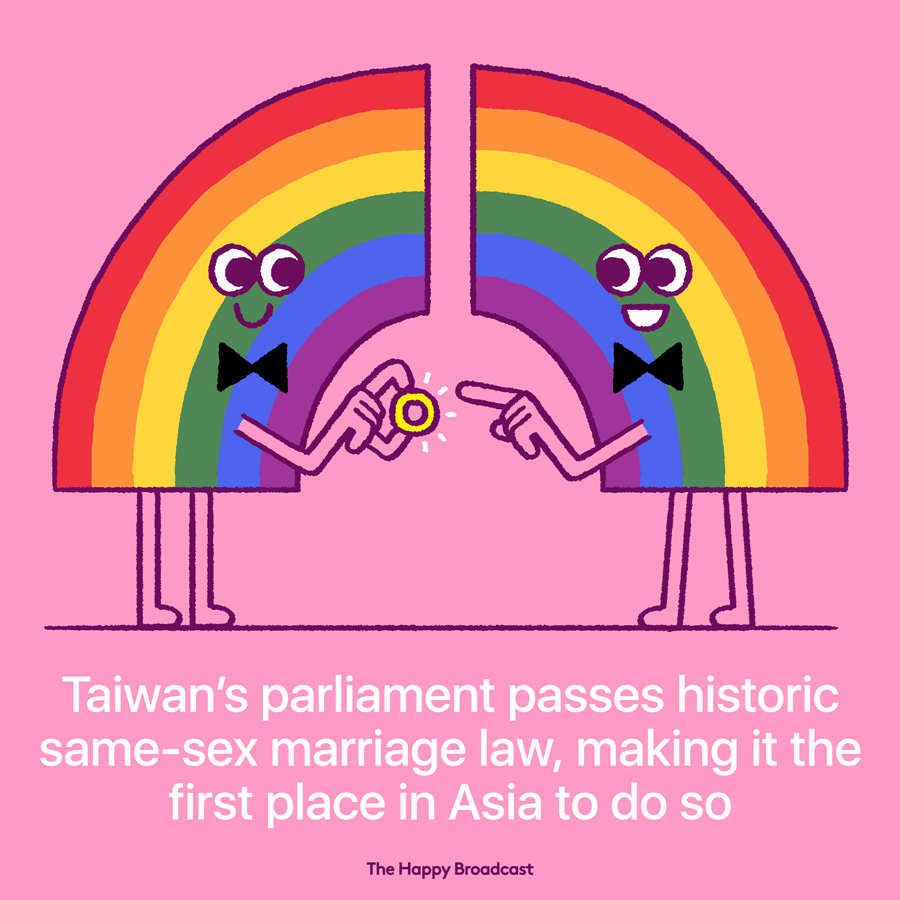 Taiwans parliament voted to legalize same sex