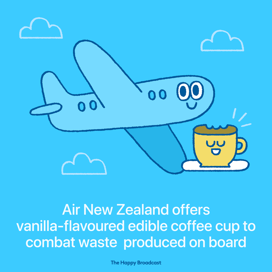 The airline airnz introduced its own edible