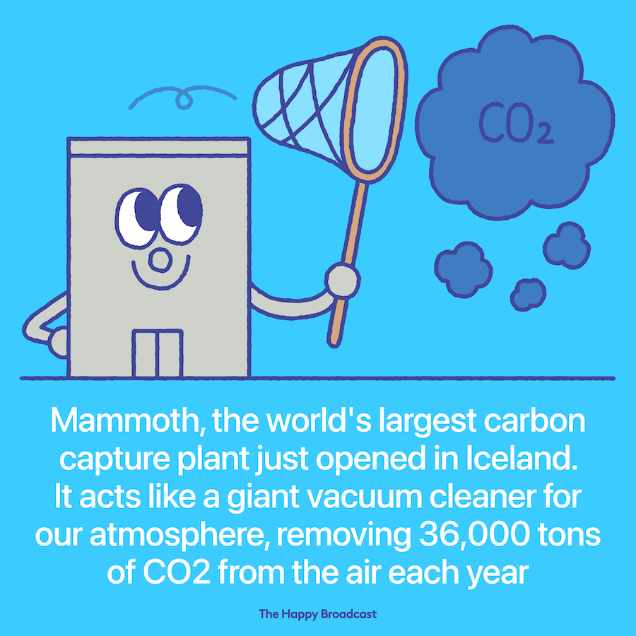 The biggest carbon removal plant just opened in Iceland