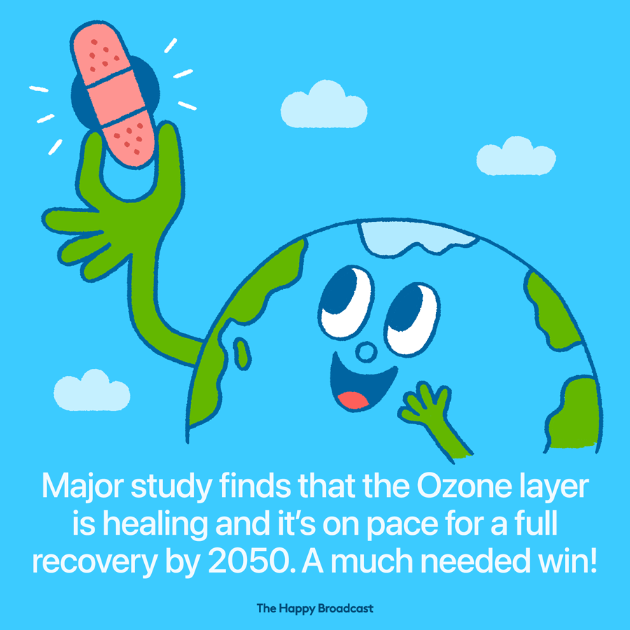 The ozone is on the path to recovery