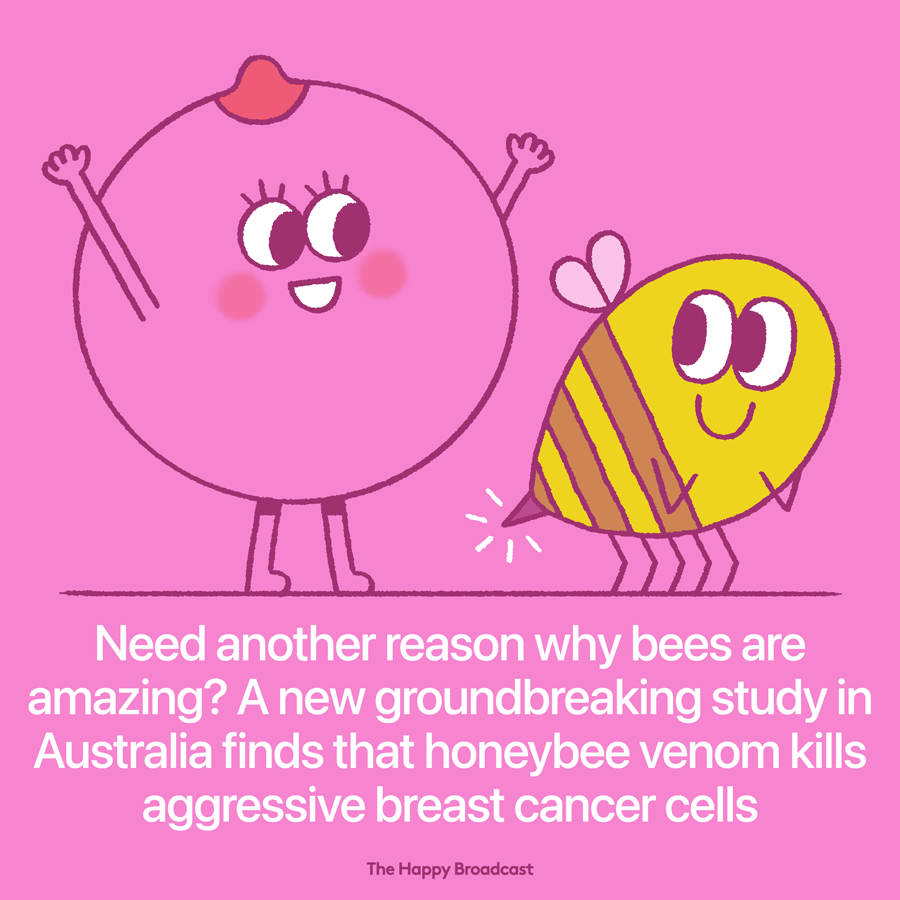 Venom from honeybees has been found to rapidly