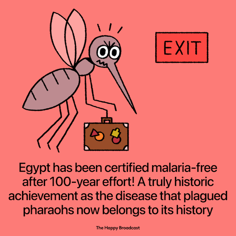 WHO Declares Egypt Malaria Free
